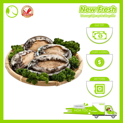 Bào Ngư Hàn Quốc Đông Lạnh - Túi 1Kg (10-12 con)