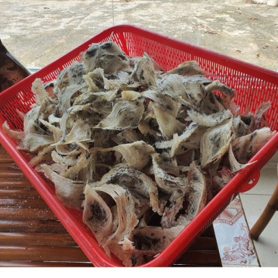 Yến sào thô 10g nguyên chất -  tăng cường đề kháng và cải thiện sức khỏe