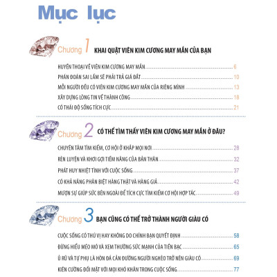 Không Phải Thiếu May Mắn Chỉ Là Chưa Cố Gắng (Tái Bản 2021)